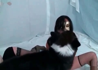 Sexy dark doggy want to fuck my lovely pussy