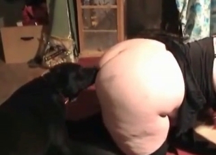 Doggy fucked hard a fat whore