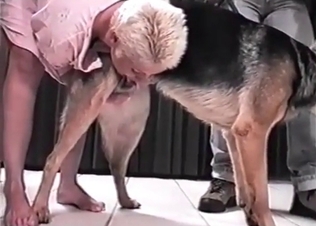 Hound enjoys this zoophile slut