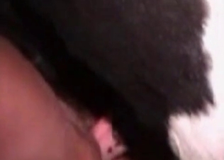 Fat slut fucks with a farm animal