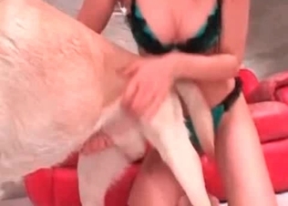 Good-looking zoophile is having fun with her trained animal