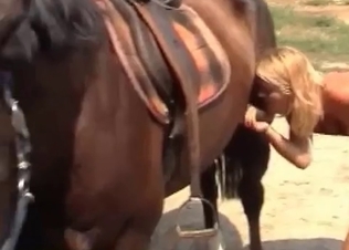 Cute slut is swallowing a nice boner in the bestiality scene
