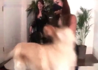 Sweet doggy is licking a nice ass