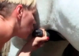 Bleached zoophile and horny colt