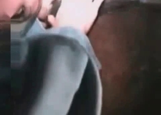 Crazy zoophile is giving a good rimjob for a lovely horse