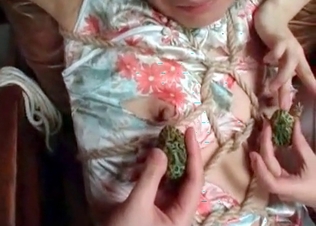 Cute frogs are getting in the Asian bestiality