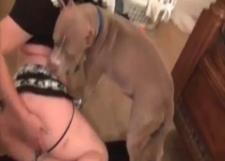Nasty doggy is enjoying intensive bestiality
