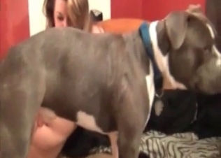 Doggy cock sucked by a zoophile