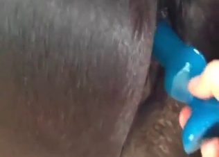 Good sex toy for a nice young pony