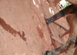 Pony fucked by a horny stallion
