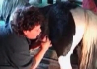 Tight pussy drilled by a skillful horny stallion