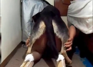 German doggy is a truly perfect fucker