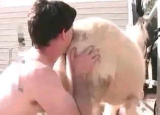 Nice anal sex in doggy style with a pony