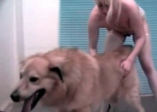 Trained doggy and lusty zoophile